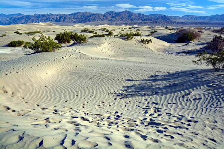 sand dunes